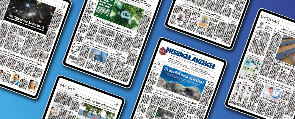 Jetzt die kostenlose E-Paper-App installieren
