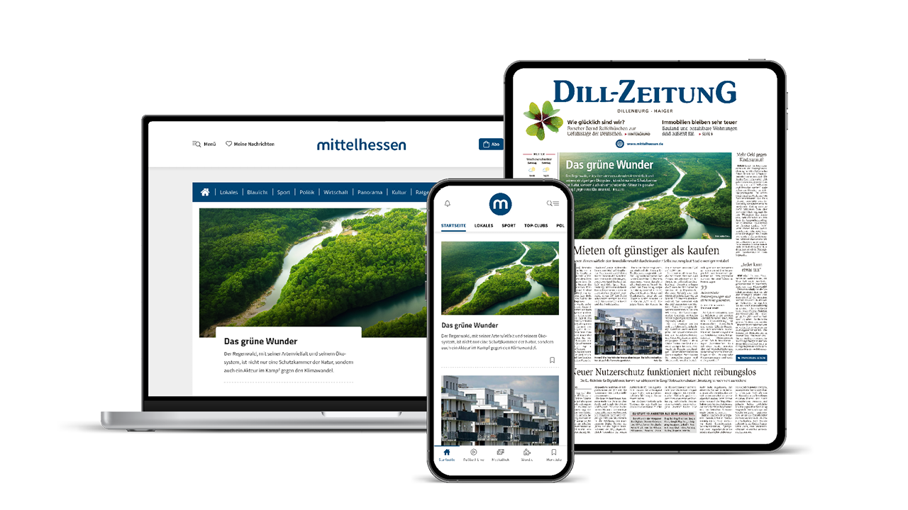 Dill-Zeitung Digital komplett Flex
