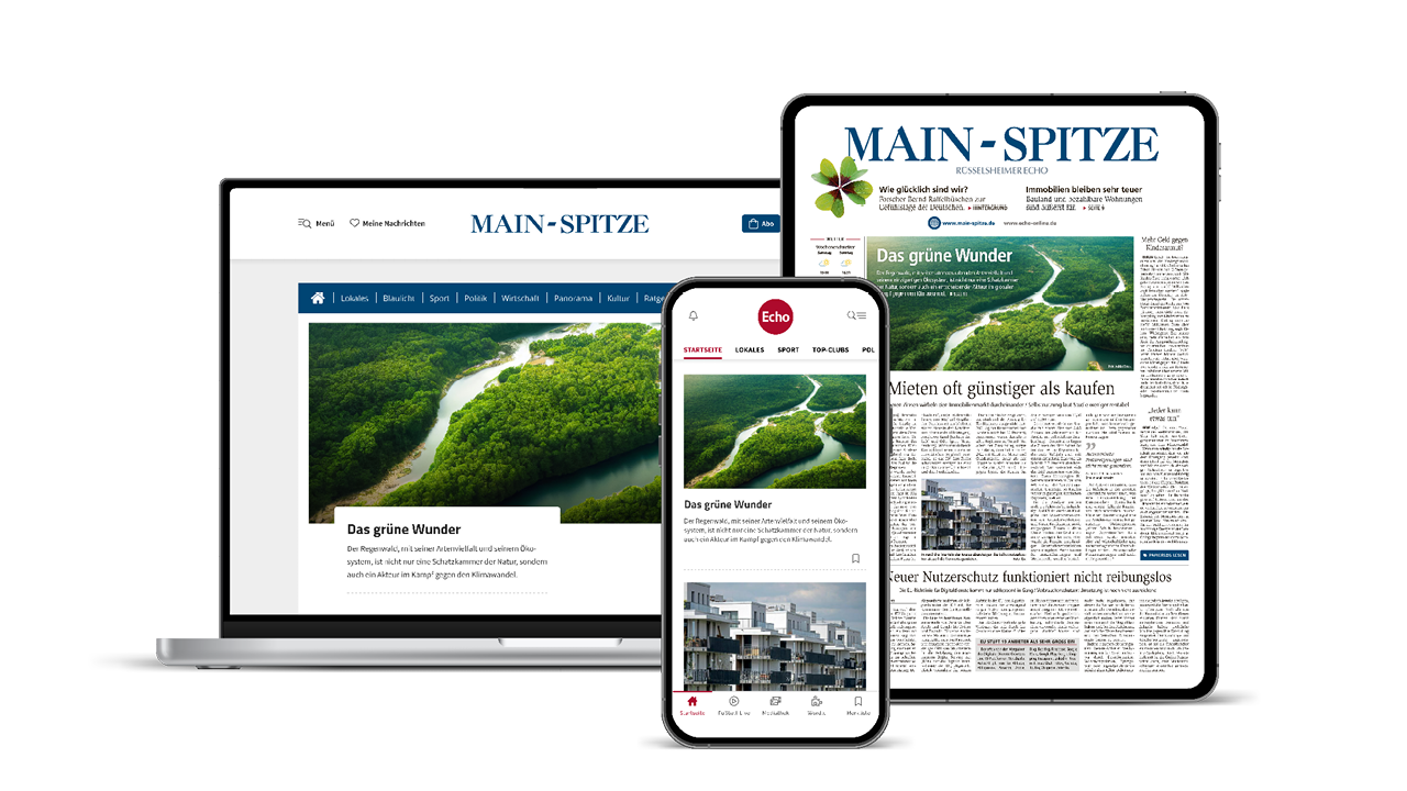 Main-Spitze Digital komplett Flex 