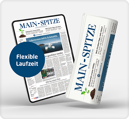 Main-Spitze Print & Digital komplett Flex 