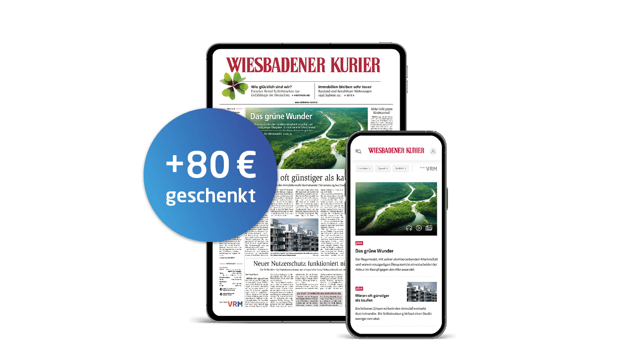 Dies ist ein Bild von LX_06 LWL Digital komplett
